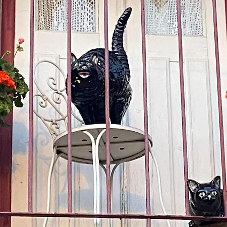 Casa De David Lejlighed *