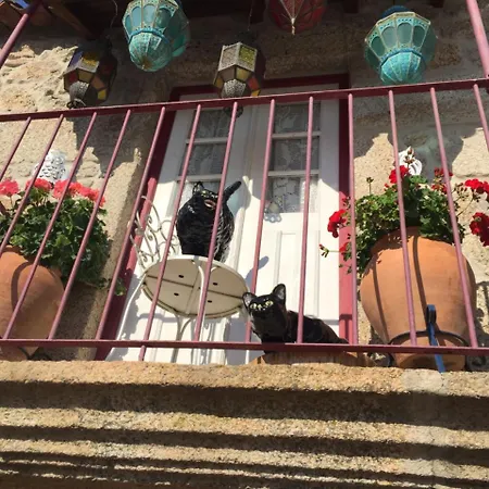 Apartment Casa De David Monsanto