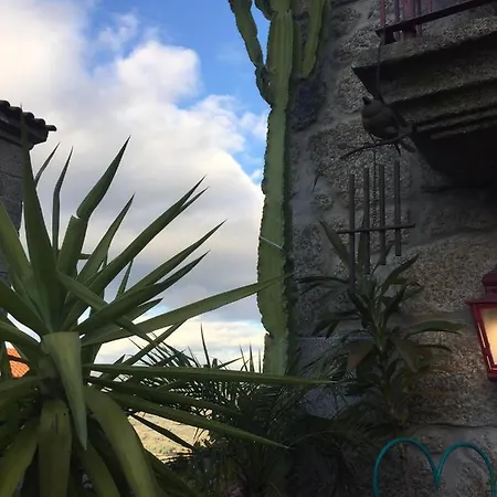 Lejlighed Casa De David