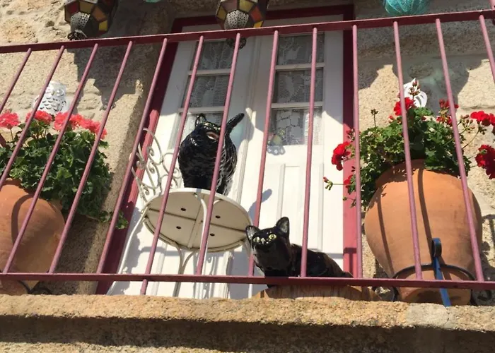 Daire Casa De David Monsanto