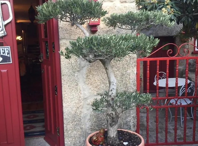 Casa De David Daire